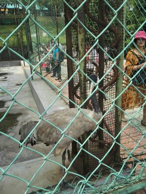 本溪动物园游览体验与动物饲养观察点评