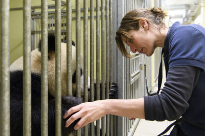 探访法国博瓦勒动物园大熊猫饲养员团队 守护中法友谊的动物守护者